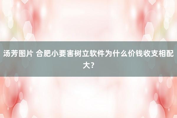 汤芳图片 合肥小要害树立软件为什么价钱收支相配大？