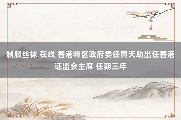 制服丝袜 在线 香港特区政府委任黄天助出任香港证监会主席 任期三年