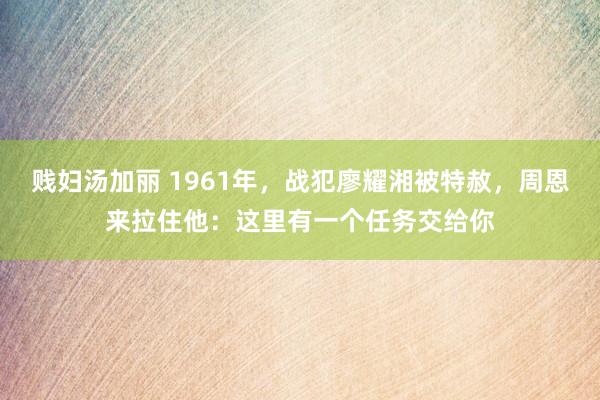 贱妇汤加丽 1961年，战犯廖耀湘被特赦，周恩来拉住他：这里有一个任务交给你