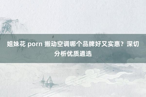 姐妹花 porn 搬动空调哪个品牌好又实惠？深切分析优质遴选