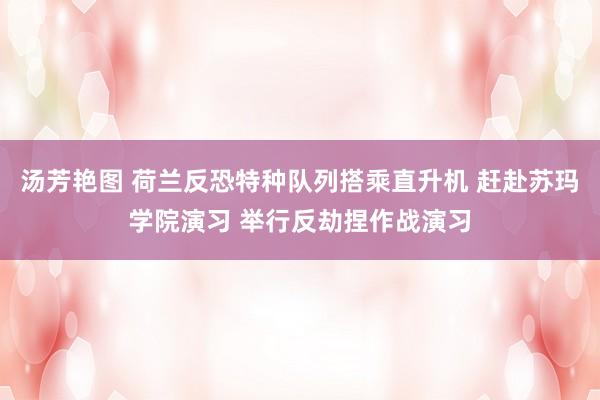 汤芳艳图 荷兰反恐特种队列搭乘直升机 赶赴苏玛学院演习 举行反劫捏作战演习