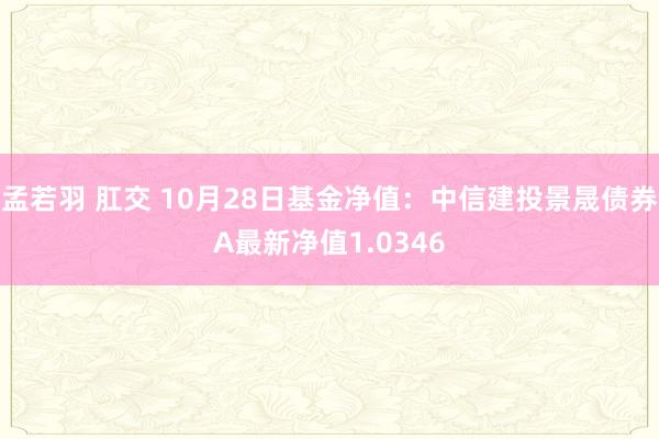 孟若羽 肛交 10月28日基金净值：中信建投景晟债券A最新净值1.0346