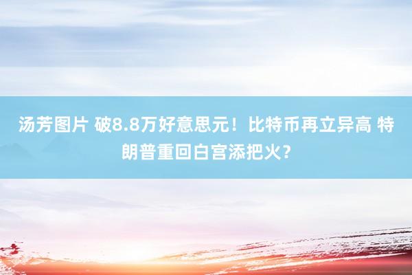 汤芳图片 破8.8万好意思元！比特币再立异高 特朗普重回白宫添把火？