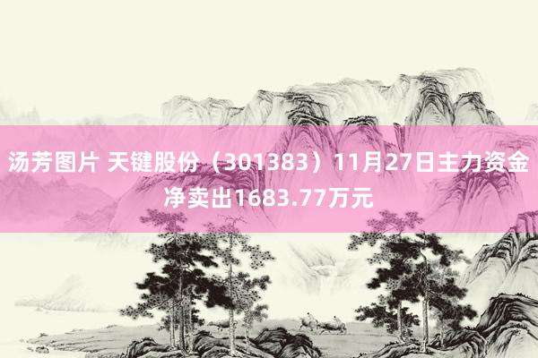 汤芳图片 天键股份（301383）11月27日主力资金净卖出1683.77万元