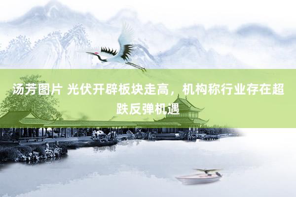 汤芳图片 光伏开辟板块走高，机构称行业存在超跌反弹机遇
