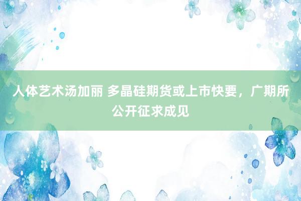 人体艺术汤加丽 多晶硅期货或上市快要，广期所公开征求成见