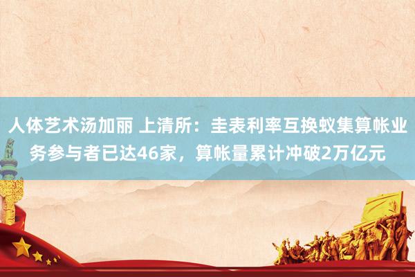 人体艺术汤加丽 上清所：圭表利率互换蚁集算帐业务参与者已达46家，算帐量累计冲破2万亿元