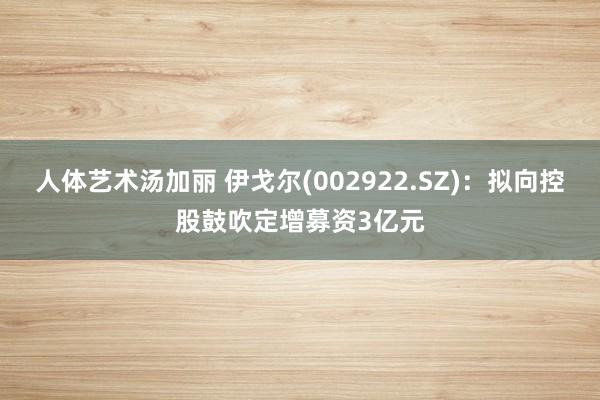 人体艺术汤加丽 伊戈尔(002922.SZ)：拟向控股鼓吹定增募资3亿元
