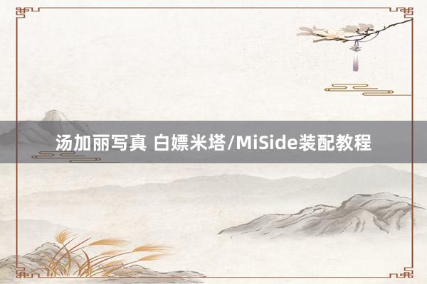 汤加丽写真 白嫖米塔/MiSide装配教程