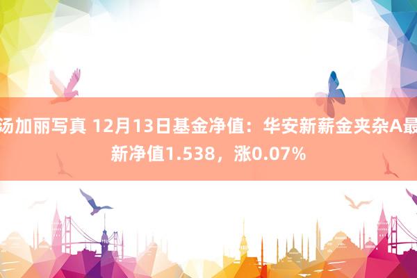 汤加丽写真 12月13日基金净值：华安新薪金夹杂A最新净值1.538，涨0.07%