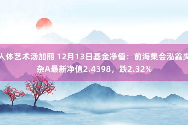 人体艺术汤加丽 12月13日基金净值：前海集会泓鑫夹杂A最新净值2.4398，跌2.32%
