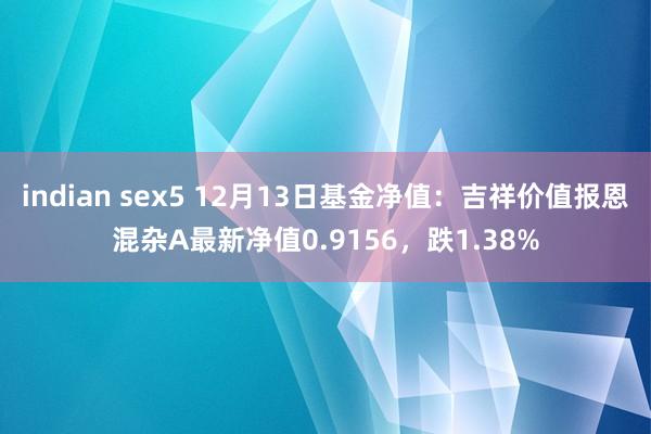 indian sex5 12月13日基金净值：吉祥价值报恩混杂A最新净值0.9156，跌1.38%