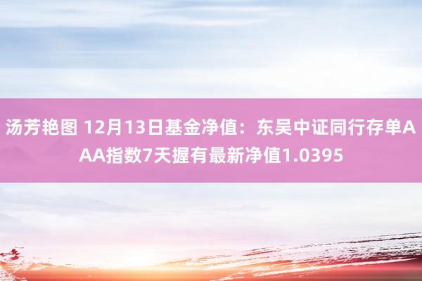 汤芳艳图 12月13日基金净值：东吴中证同行存单AAA指数7天握有最新净值1.0395