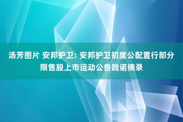 汤芳图片 安邦护卫: 安邦护卫初度公配置行部分限售股上市运动公告践诺摘录