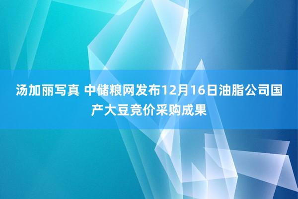 汤加丽写真 中储粮网发布12月16日油脂公司国产大豆竞价采购成果