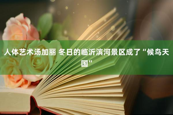 人体艺术汤加丽 冬日的临沂滨河景区成了“候鸟天国”