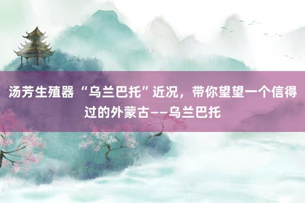 汤芳生殖器 “乌兰巴托”近况，带你望望一个信得过的外蒙古——乌兰巴托