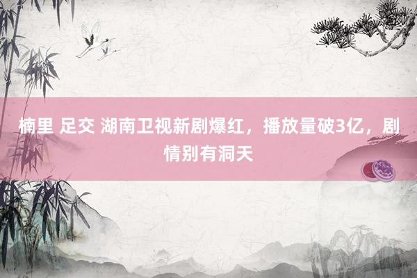 楠里 足交 湖南卫视新剧爆红，播放量破3亿，剧情别有洞天