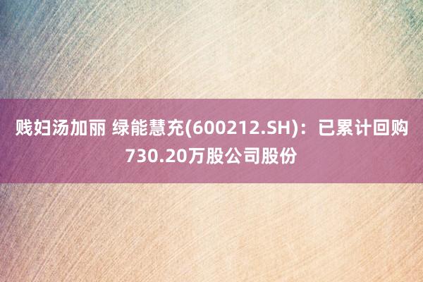 贱妇汤加丽 绿能慧充(600212.SH)：已累计回购730.20万股公司股份