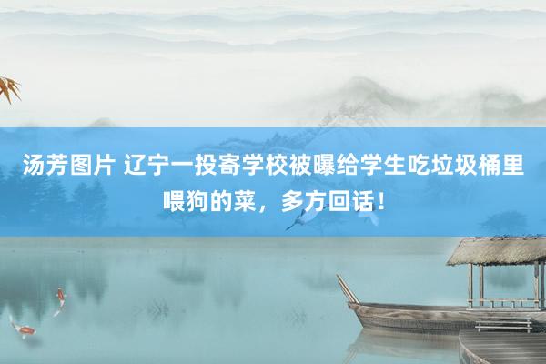 汤芳图片 辽宁一投寄学校被曝给学生吃垃圾桶里喂狗的菜，多方回话！