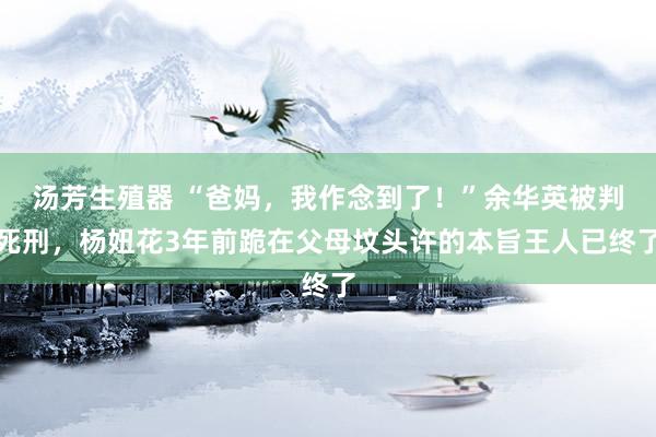 汤芳生殖器 “爸妈，我作念到了！”余华英被判死刑，杨妞花3年前跪在父母坟头许的本旨王人已终了