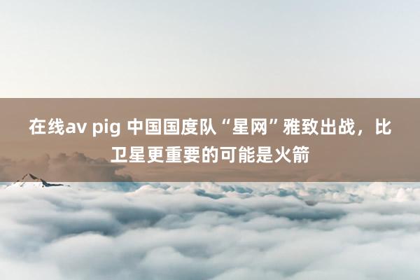 在线av pig 中国国度队“星网”雅致出战，比卫星更重要的可能是火箭