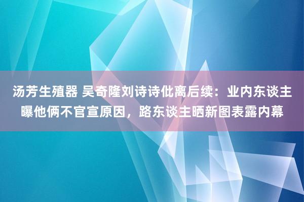 汤芳生殖器 吴奇隆刘诗诗仳离后续：业内东谈主曝他俩不官宣原因，路东谈主晒新图表露内幕