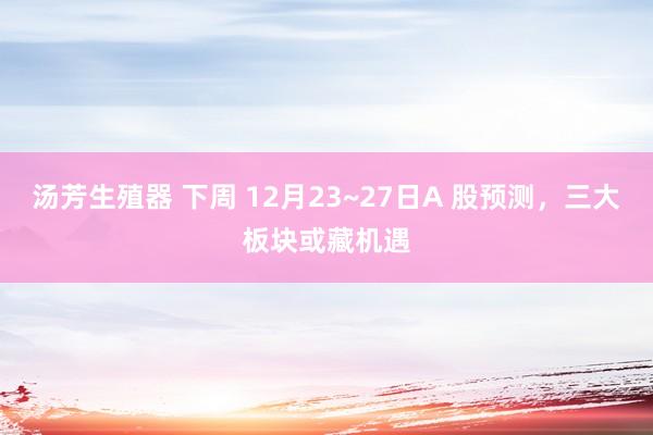 汤芳生殖器 下周 12月23~27日A 股预测，三大板块或藏机遇