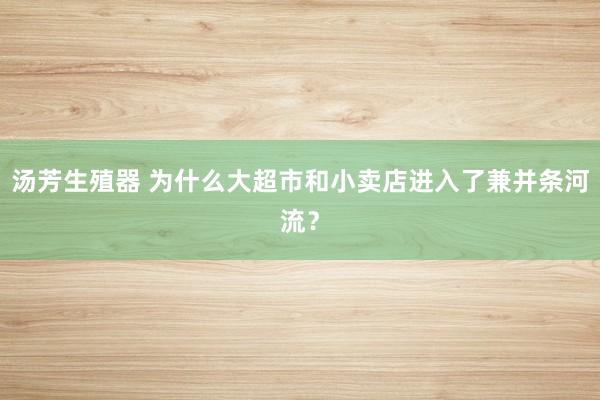 汤芳生殖器 为什么大超市和小卖店进入了兼并条河流？