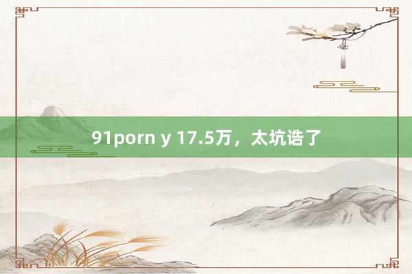 91porn y 17.5万，太坑诰了