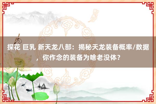 探花 巨乳 新天龙八部：揭秘天龙装备概率/数据，你作念的装备为啥老没体？