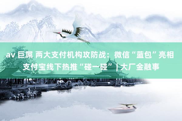 av 巨屌 两大支付机构攻防战：微信“蓝包”亮相 支付宝线下热推“碰一碰” | 大厂金融事