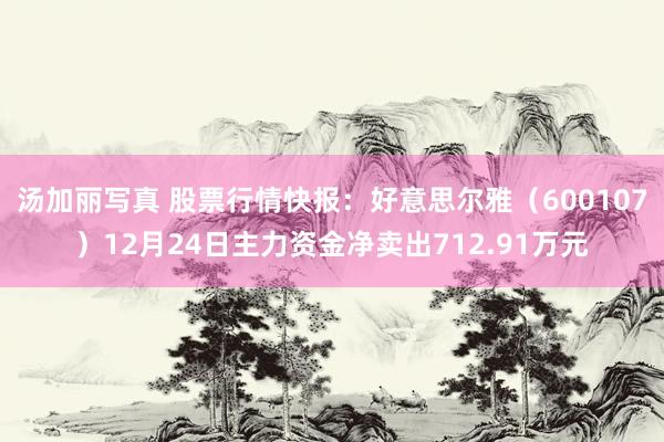 汤加丽写真 股票行情快报：好意思尔雅（600107）12月24日主力资金净卖出712.91万元
