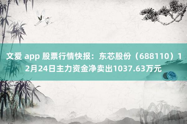 文爱 app 股票行情快报：东芯股份（688110）12月24日主力资金净卖出1037.63万元