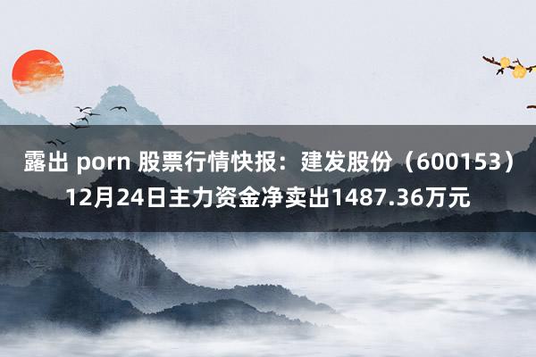 露出 porn 股票行情快报：建发股份（600153）12月24日主力资金净卖出1487.36万元