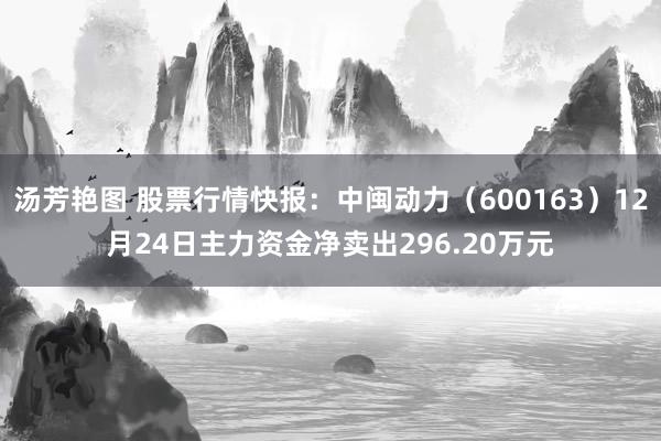汤芳艳图 股票行情快报：中闽动力（600163）12月24日主力资金净卖出296.20万元