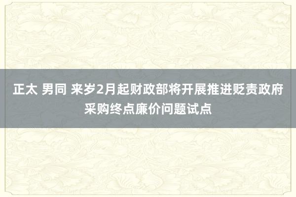 正太 男同 来岁2月起财政部将开展推进贬责政府采购终点廉价问题试点