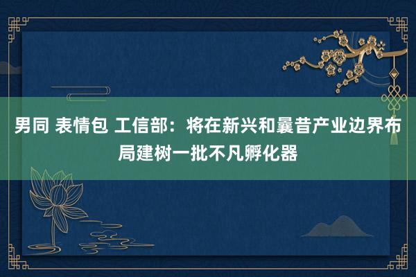 男同 表情包 工信部：将在新兴和曩昔产业边界布局建树一批不凡孵化器