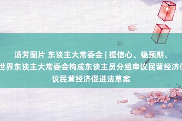 汤芳图片 东谈主大常委会 | 提信心、稳预期、促发展——世界东谈主大常委会构成东谈主员分组审议民营经济促进法草案