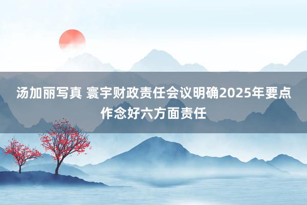 汤加丽写真 寰宇财政责任会议明确2025年要点作念好六方面责任