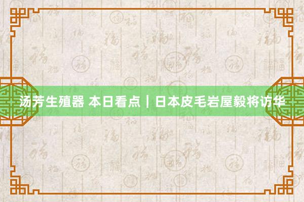汤芳生殖器 本日看点｜日本皮毛岩屋毅将访华