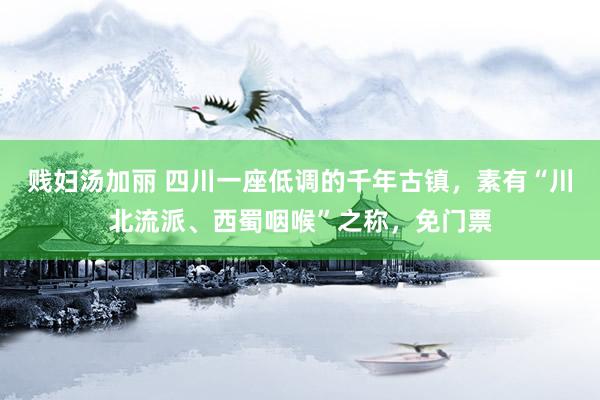 贱妇汤加丽 四川一座低调的千年古镇，素有“川北流派、西蜀咽喉”之称，免门票