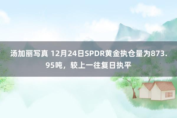 汤加丽写真 12月24日SPDR黄金执仓量为873.95吨，较上一往复日执平