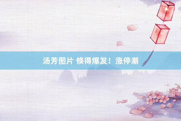 汤芳图片 倏得爆发！涨停潮