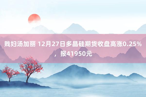 贱妇汤加丽 12月27日多晶硅期货收盘高涨0.25%，报41950元