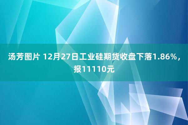 汤芳图片 12月27日工业硅期货收盘下落1.86%，报11110元