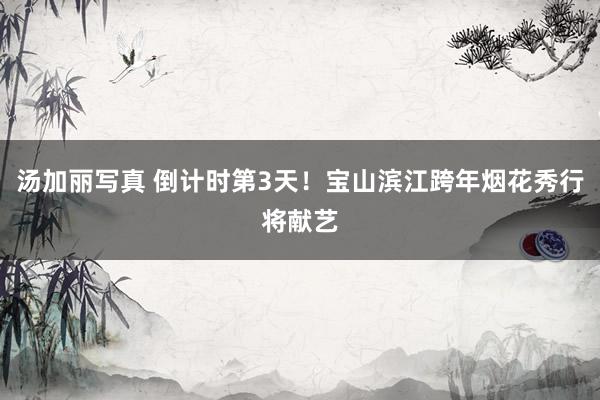 汤加丽写真 倒计时第3天！宝山滨江跨年烟花秀行将献艺