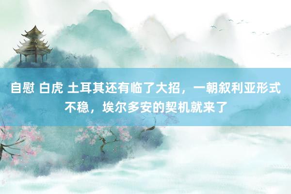 自慰 白虎 土耳其还有临了大招，一朝叙利亚形式不稳，埃尔多安的契机就来了