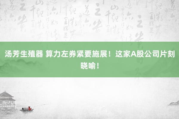 汤芳生殖器 算力左券紧要施展！这家A股公司片刻晓喻！