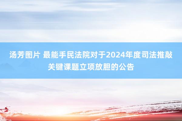 汤芳图片 最能手民法院对于2024年度司法推敲关键课题立项放胆的公告